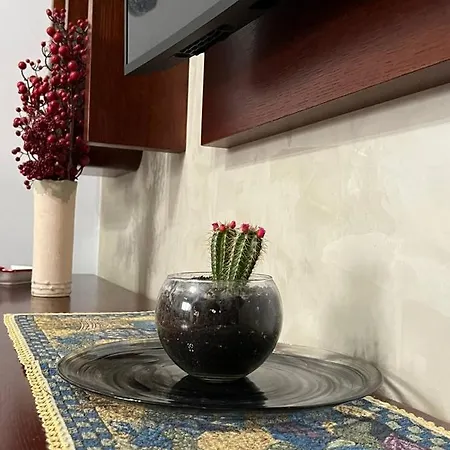 Apartmán Cozy Nest Ledi