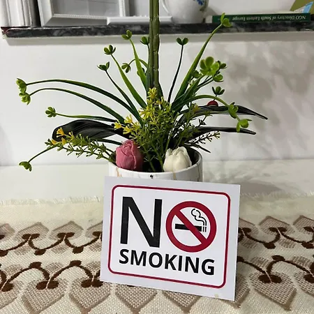 Apartment Cozy Nest Ledi